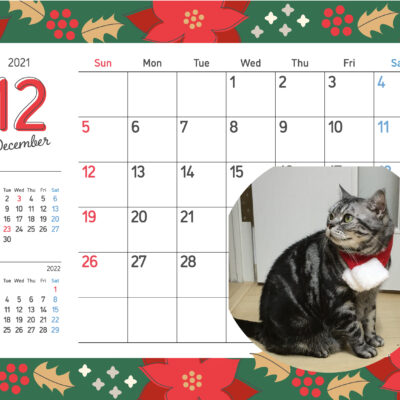 12月カレンダーとアレン