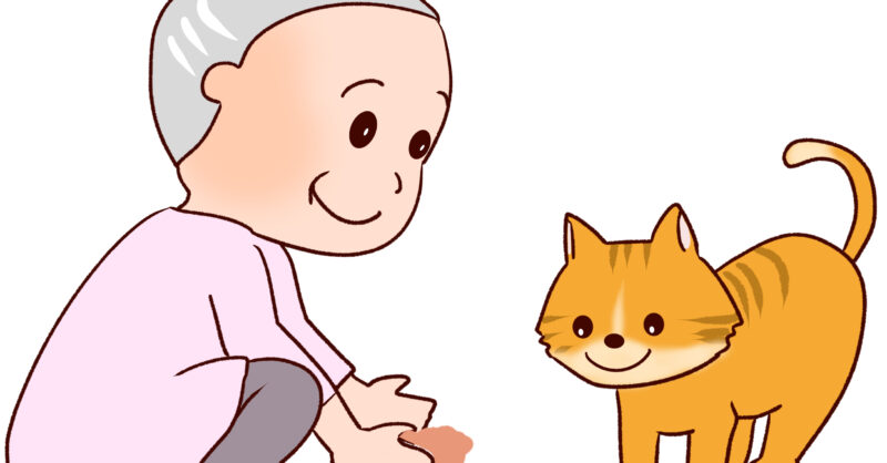 猫と高齢者1-1